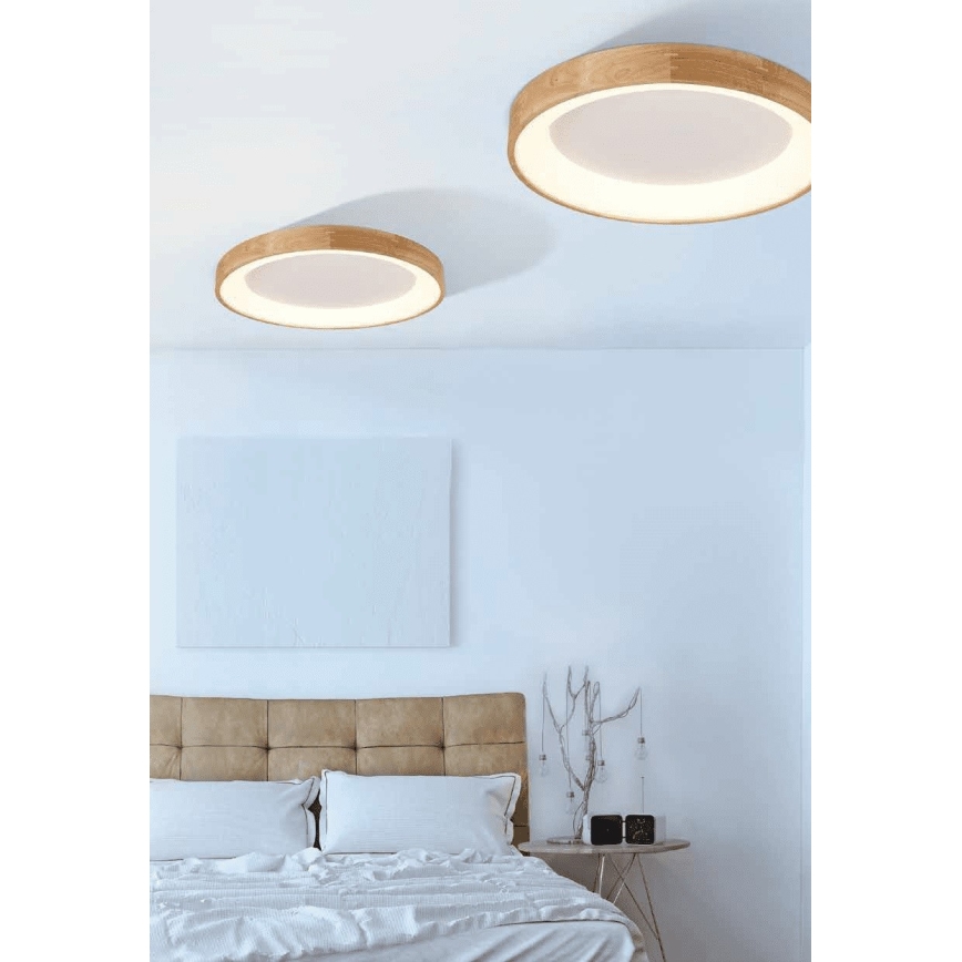 Azzardo AZ2698 - LED plafondlamp SILVAM LED/50W/230V