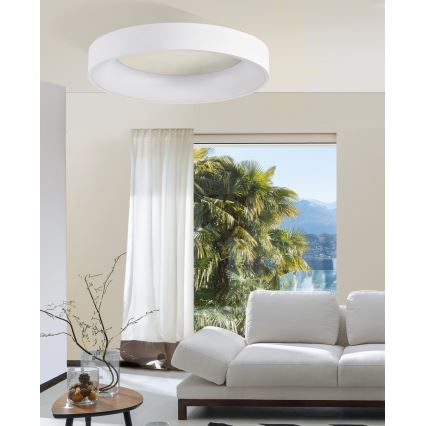 Azzardo AZ2724 - Plafonnier à intensité variable LED SOVANA 1xLED/50W/230V+ télécommande