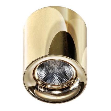 Azzardo AZ2846 - LED-plafondlamp MANE LED/10W/230V