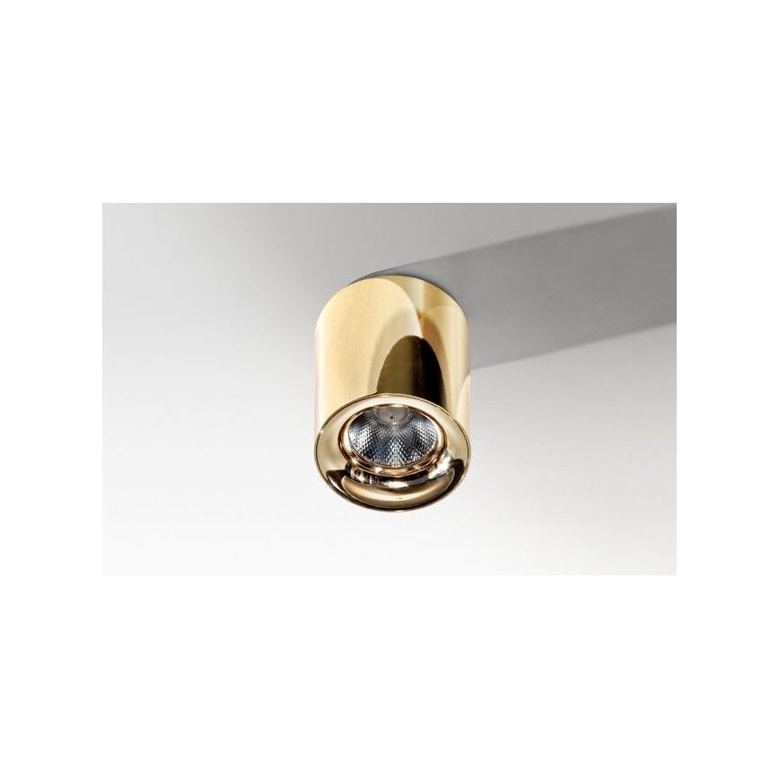 Azzardo AZ2846 - LED Plafondverlichting MANE 1xLED/10W/230V