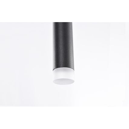 Azzardo AZ3155 - LED Hanglamp aan koord LOUISE LED/3W/230V