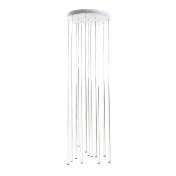 Azzardo AZ3421 - Suspension fil LOUISE 12xLED/3W/230V blanche