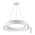 Azzardo AZ3448 - LED Hanglamp aan koord dimbaar SOVANA LED/80W/230V + afstandsbediening