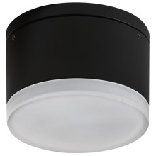 Azzardo AZ4333 - LED Plafondlamp voor buiten APULIA LED/10W/230V IP54