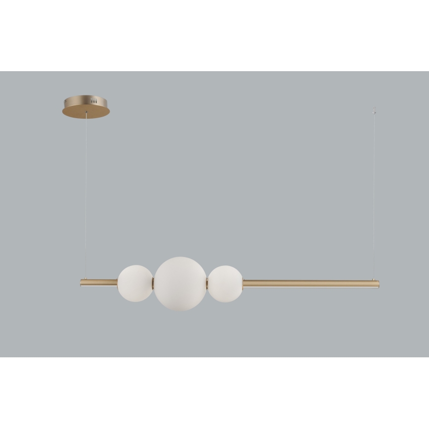 Azzardo AZ4427 - Dimbare LED Hanglamp aan een koord SANDRA LED/48W/230V goud