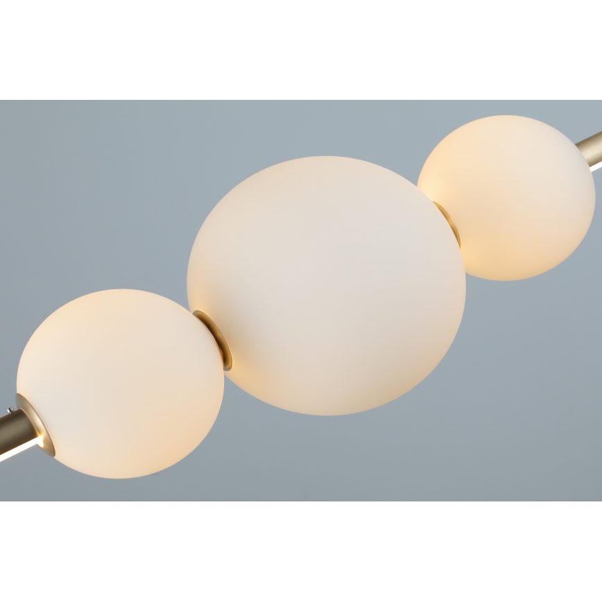 Azzardo AZ4427 - Dimbare LED Hanglamp aan een koord SANDRA LED/48W/230V goud