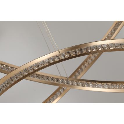 Azzardo AZ4429 - LED Hanglamp aan een koord BRIGHTON LED/55W/230V goud