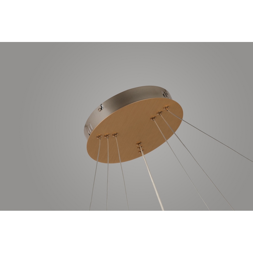 Azzardo AZ4429 - LED Hanglamp aan een koord BRIGHTON LED/55W/230V goud