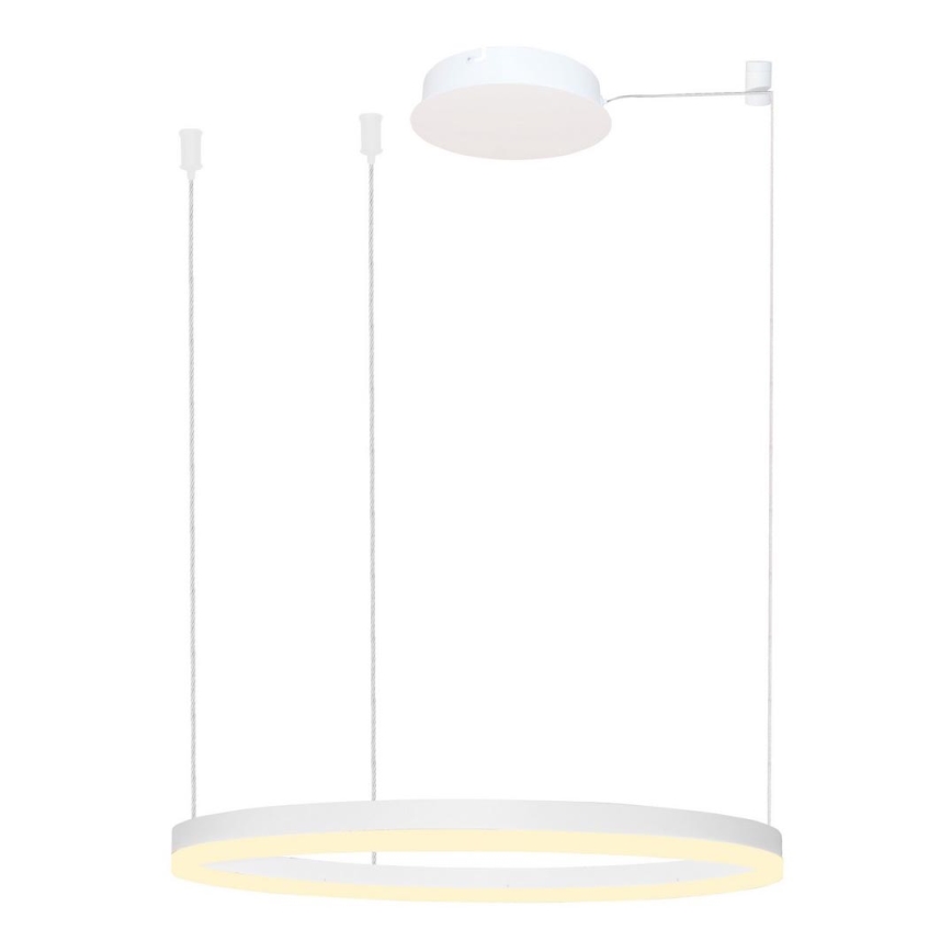 Azzardo AZ4959 - Dimbare LED hanglamp aan een koord HALO LED/56W/230V diameter 80 cm wit