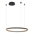 Azzardo AZ4960 - LED dimbare hanglamp aan kabel HALO LED/54W/230V Ø 80 cm zwart