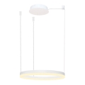 Azzardo AZ4967 - Dimbare LED hanglamp aan een koord HALO LED/47W/230V diameter 60 cm wit