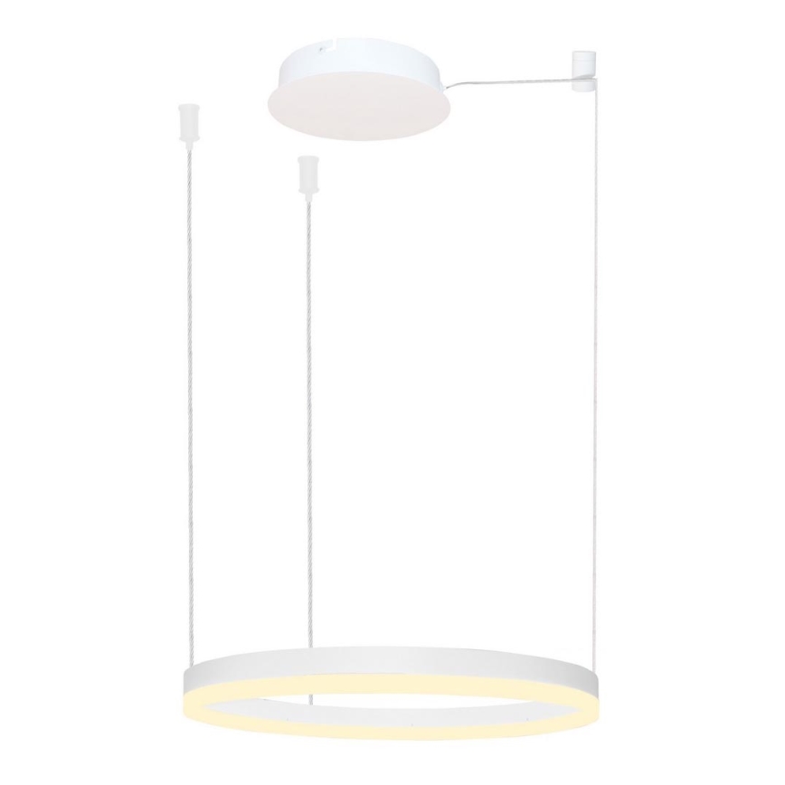 Azzardo AZ4967 - LED dimbare hanglamp aan kabel HALO LED/47W/230V Ø 60 cm wit
