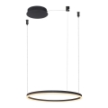 Azzardo AZ4968 -Dimbare LED hanglamp aan een koord HALO LED/47W/230V diameter 60 cm zwart