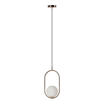 Azzardo AZ4981 - Hanglamp aan een koord COCO 1xG9/50W/230V