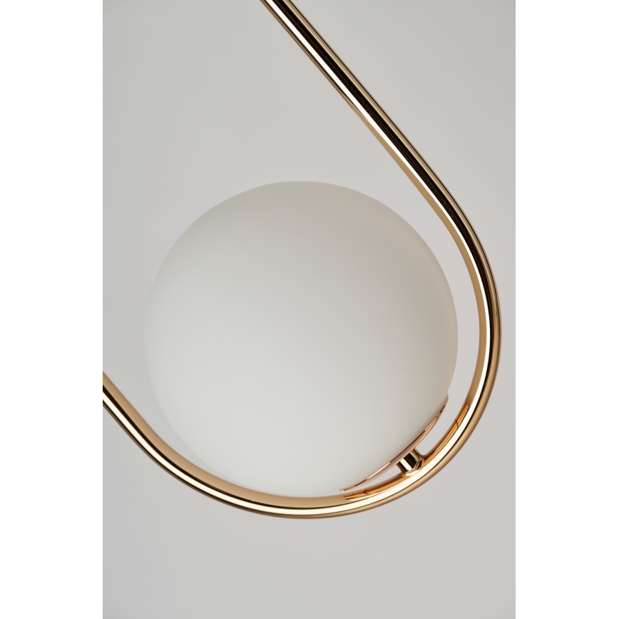 Azzardo AZ4981 - Hanglamp aan een koord COCO 1xG9/50W/230V