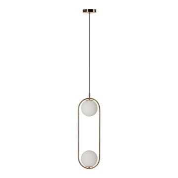 Azzardo AZ4982 - Hanglamp aan een koord COCO 2xG9/50W/230V