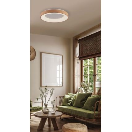 Azzardo AZ4989 - Plafonnier LED SANTANA LED/30W/230V marron