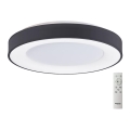 Azzardo AZ4991 - Plafonnier à intensité variable LED SANTANA LED/50W/230V noir + télécommande