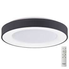 Azzardo AZ4995 - Dimbare LED plafondlamp SANTANA LED/80W/230V zwart + afstandsbediening