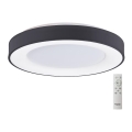 Azzardo AZ4995 - LED dimbare plafondlamp SANTANA LED/80W/230V zwart + afstandsbediening