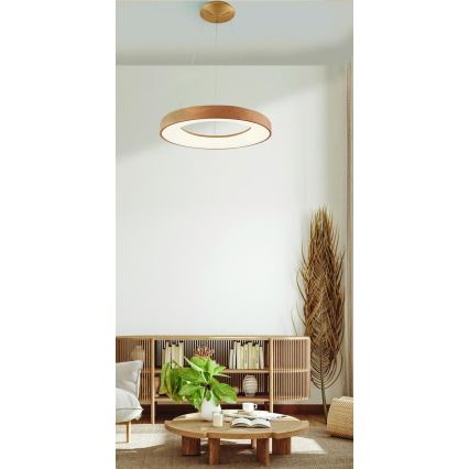 Azzardo AZ5006 - Suspension filaire LED SANTANA LED/30W/230V marron
