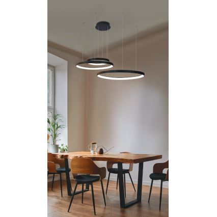 Azzardo AZ5027 - LED Hanglamp aan een koord AMANDA LED/150W/230V zwart