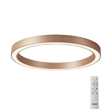 Azzardo AZ5036 - Dimbare LED plafondlamp MARCO LED/60W/230V goud + afstandsbediening