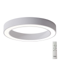 Azzardo AZ5037 - Plafonnier à intensité variable LED MARCO LED/80W/230V blanc + télécommande