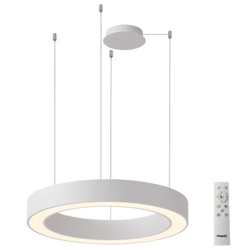 Azzardo AZ5043 - Dimbare LED hanglamp aan een koord MARCO LED/50W/230V wit + afstandsbediening