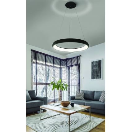 Azzardo AZ5063 - Dimbare LED hanglamp aan een koord ANTONIO LED/50W/230V zwart + afstandsbediening