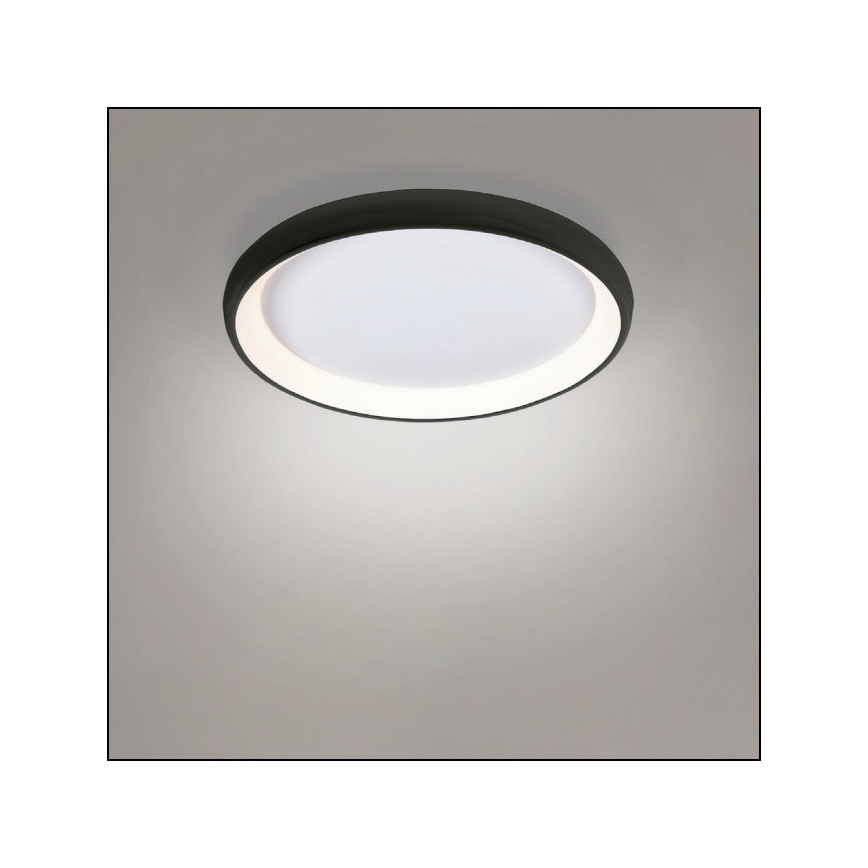Azzardo AZ5072 - Plafonnier à intensité variable LED ANTONIO LED/50W/230V noir + télécommande