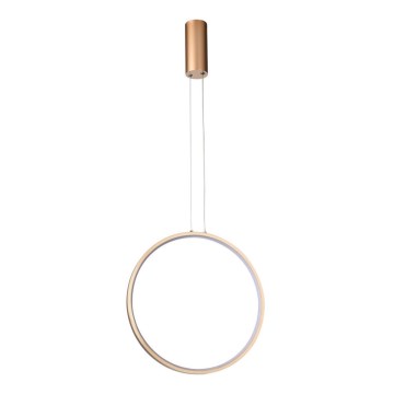 Azzardo AZ5254 - Dimbare LED hanglamp aan een koord MASSIMA LED/25W/230V goud