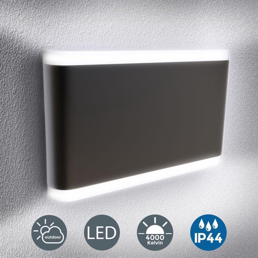 B.K. Licht 1184 - LED Buitenwandlamp 2xLED/3,5W/230V IP44 4000K