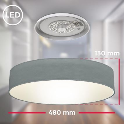 B.K. Licht 1393 - LED plafondlamp LED/20W/230V grijs