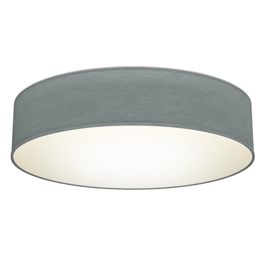 B.K. Licht 1393 - Plafonnier LED LED/20W/230V gris