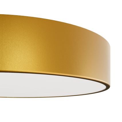 Badkamer Plafond Lamp CLEO 2xE27/24W/230V d. 30 cm goud IP54