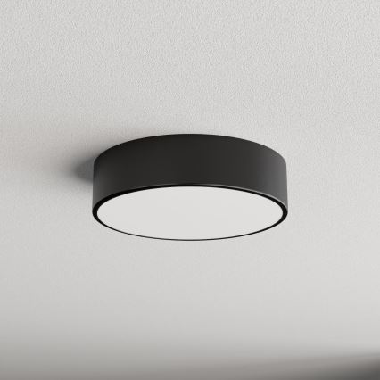 Badkamer plafondlamp CLEO 2xE27/24W/230V d. 30 cm zwart IP54