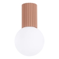 Badkamer plafondlamp HALO 1xG9/8W/230V diameter 12 cm IP44 bruin