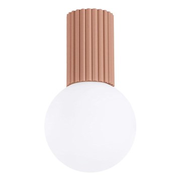 Badkamer plafondlamp HALO 1xG9/8W/230V diameter 12 cm IP44 bruin