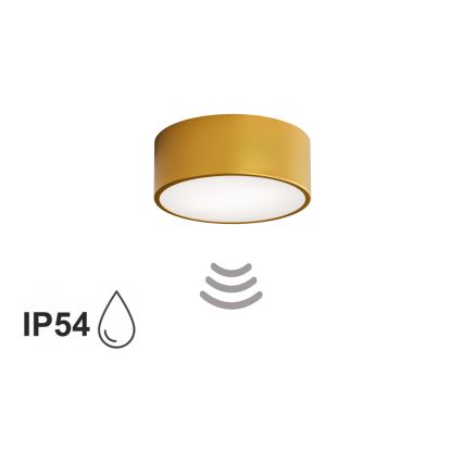 Badkamerplafondlamp met sensor CLEO 1xE27/24W/230V Ø 20 cm IP54 goudkleurig
