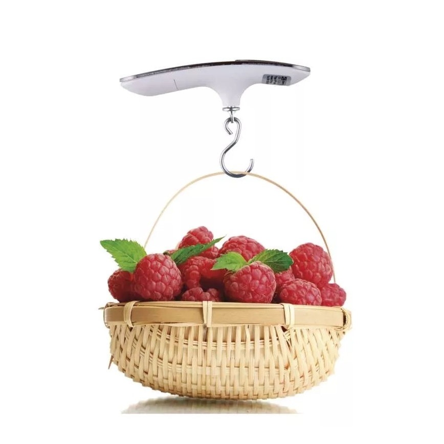 Balance suspendue numérique 1xCR2032