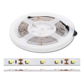 Bande 5 m LED/4,8W/230V