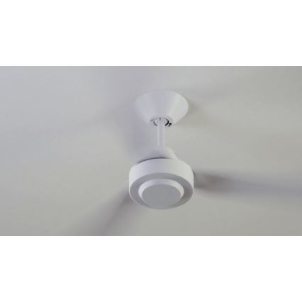 BAYSIDE 213015 - Ventilateur de plafond CALYPSO