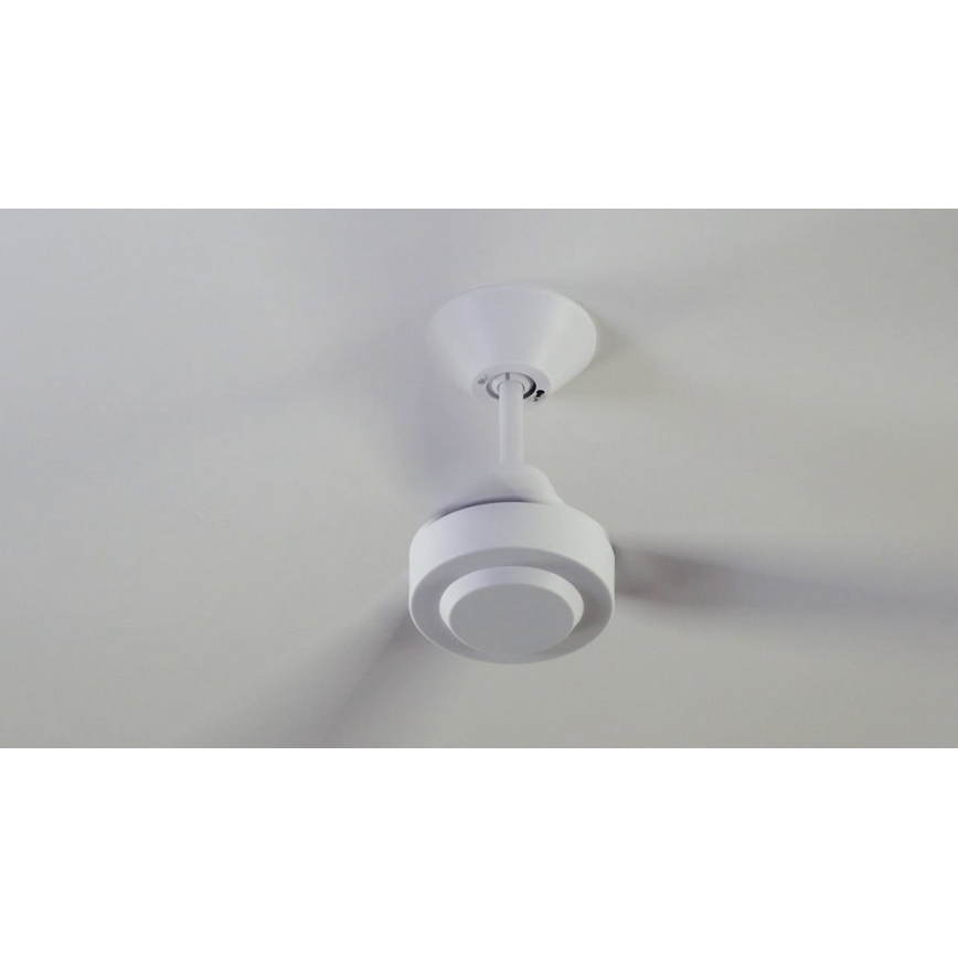BAYSIDE 213015 - Ventilateur de plafond CALYPSO