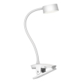 BELLA LED dimbare touch tafellamp met clip 4,8W/5V 3000-6500K wit