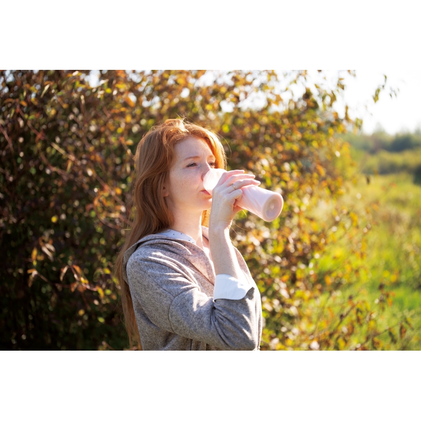 BerlingerHaus - Mixeur à smoothie 250W/230V noir/or rose