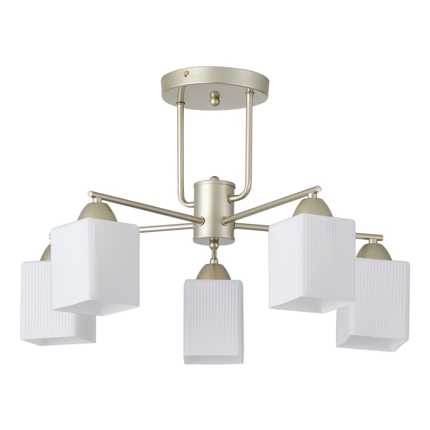 Bevestigde hanglamp 5xE27/60W/230V