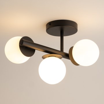 Bevestigde hanglamp AVOLA 3xG9/12W/230V zwart