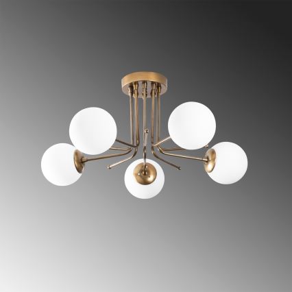 Bevestigde hanglamp DAISY 5xE27/40W/230V