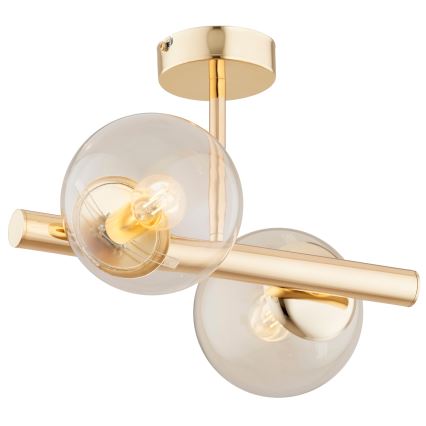 Bevestigde hanglamp ERAL 2xE14/40W/230V
